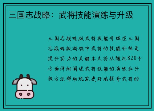 三国志战略：武将技能演练与升级
